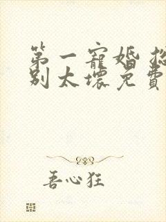 第一宠婚 总裁别太坏免费阅读