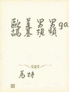 欧美男男gay搞基视频