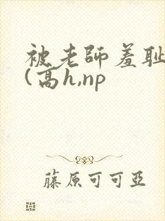 被老师羞耻调教(高h,np