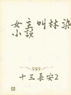 女主叫林染霜的小说