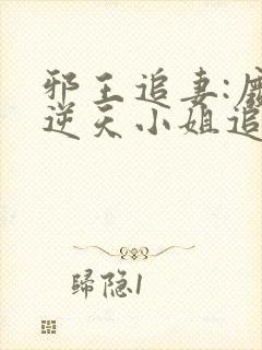 邪王追妻:废材逆天小姐追书