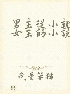 男主从小就喜欢女主的小说