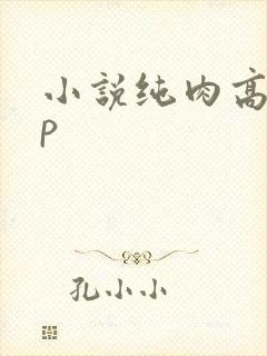 小说纯肉高hnp