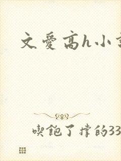 文爱高h小说