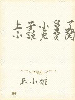 上子小舅了老婆小说免费阅读封面