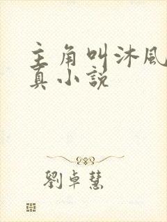 主角叫沐风的修真小说