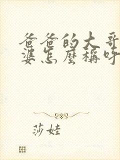 爸爸的大哥的老婆怎么称呼