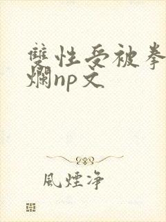 双性受被拳交玩烂np文