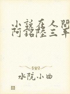 小说在人间采薇阿铭陆三平免费阅读封面