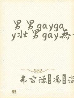 男男gaygay壮男gay无套