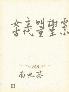 女主叫谢云初的古代重生小说