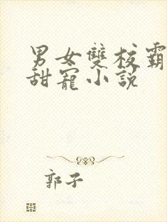 男女双校霸校园甜宠小说