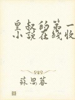 皇叔的第一宠妃小说在线收听封面