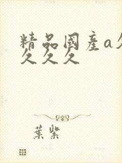 精品国产a久久久久久