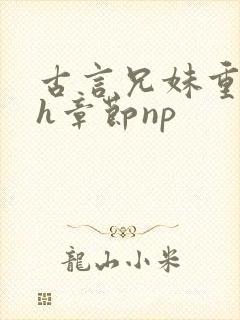 古言兄妹重口高h章节np