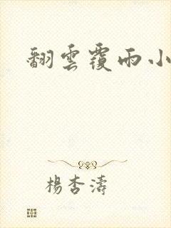 翻云覆雨小说封面