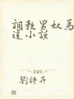 调教男奴马眼尿道小说封面