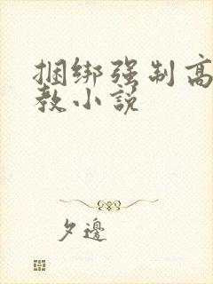 捆绑强制高潮调教小说