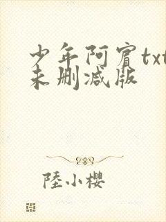 少年阿宾txt未删减版