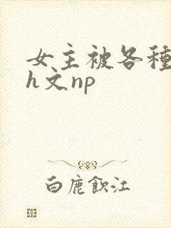 女主被各种调教h文np封面