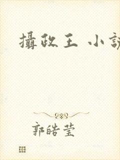 摄政王 小说