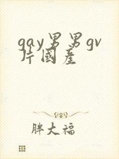 gay男男gv片国产