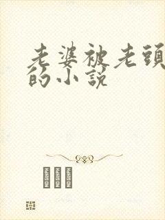 老婆被老头夺走的小说封面