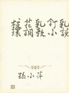 校花乳钉乳环蒂环调教小说