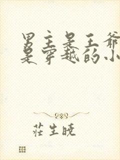 男主是王爷女主是穿越的小说