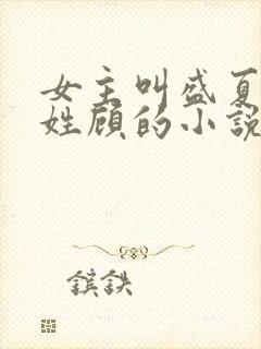 女主叫盛夏男主姓顾的小说