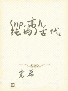 (np,高h,纯肉)古代