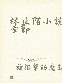 林止陌小说最新章节封面