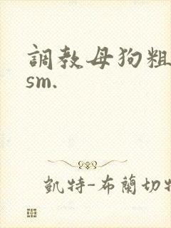 调教母狗粗暴重sm.