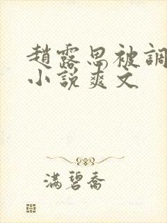 赵露思被调教h小说爽文