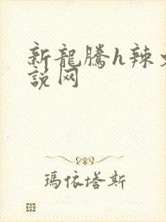 新龙腾h辣文小说网