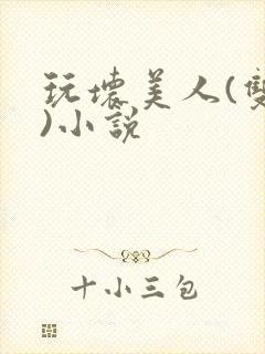 玩坏美人(双性)小说