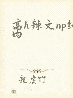 高h辣文np纯肉