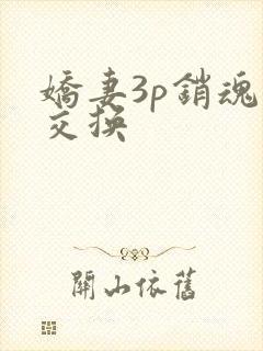 娇妻3p销魂的交换