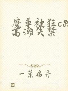 魔尊被狂c躁到高潮失禁