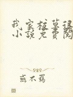 我家校草很全能小说免费阅读