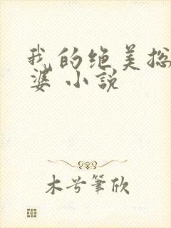 我的绝美总裁老婆 小说