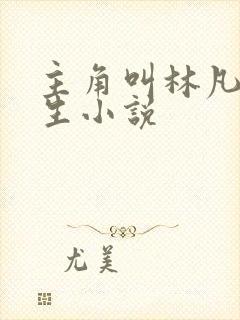 主角叫林凡的重生小说