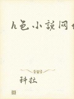 h色小说网站