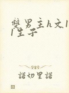 双男主h文1v1生子