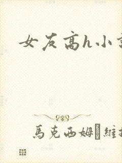 女友高h小说封面