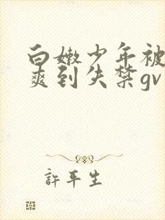 白嫩少年被调教爽到失禁gv小说封面