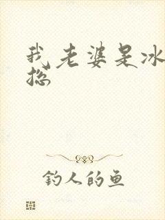 我老婆是冰山女总