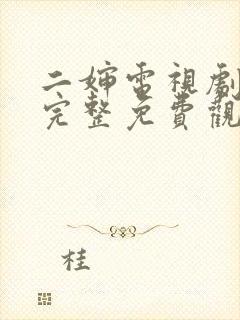 二婶电视剧全集完整免费观看高清封面