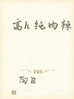 高h 纯肉辣文