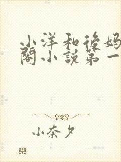 小洋和后妈笔趣阁小说第一章